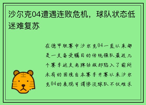 沙尔克04遭遇连败危机，球队状态低迷难复苏